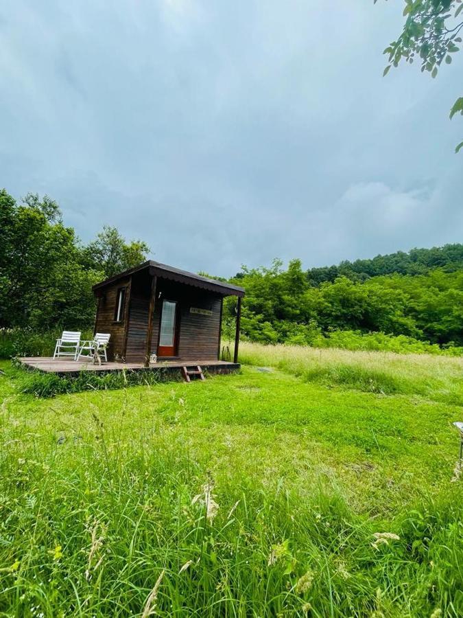 Hotel Retreat In Padure Buchin Exterior foto
