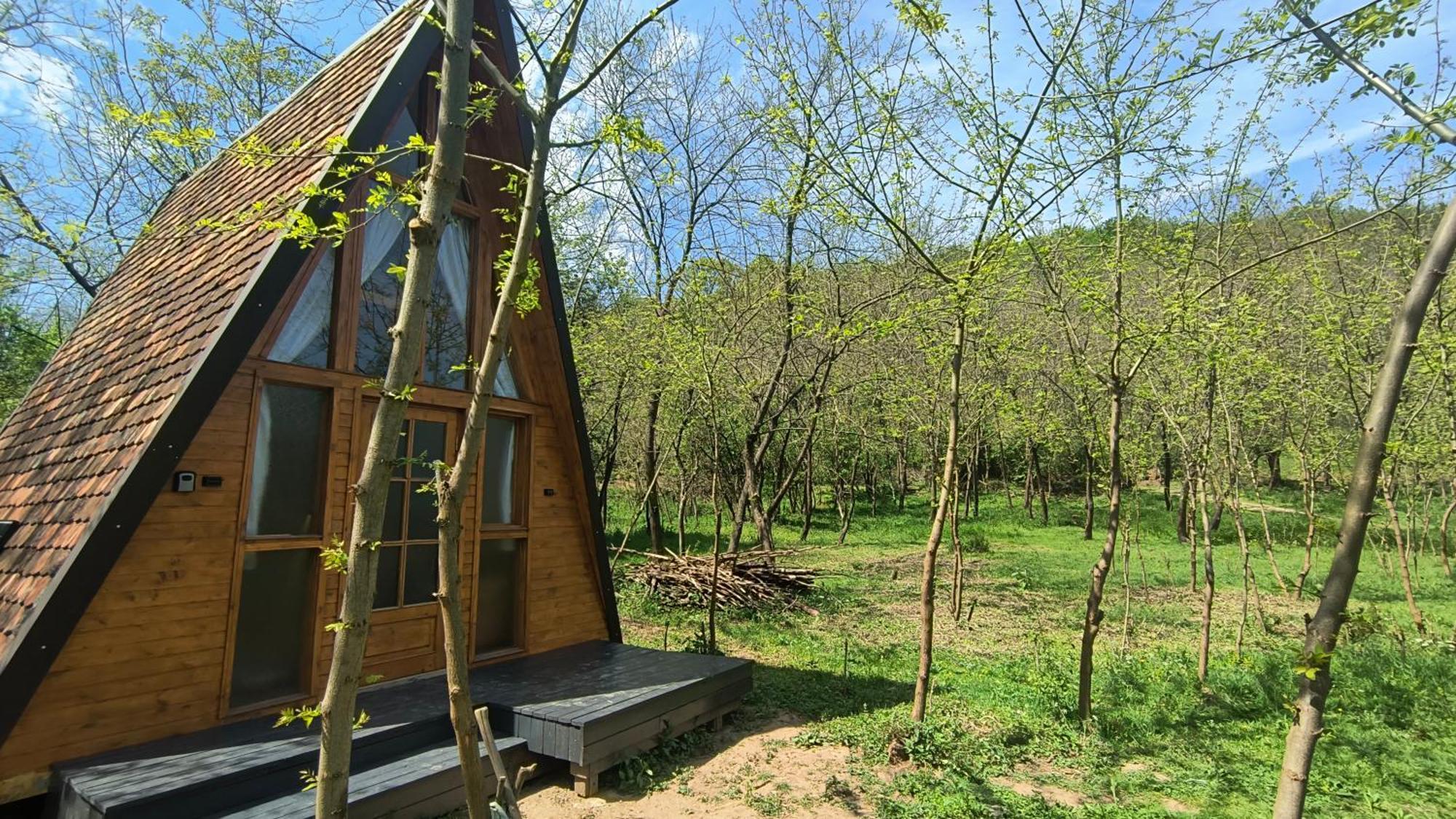 Hotel Retreat In Padure Buchin Exterior foto