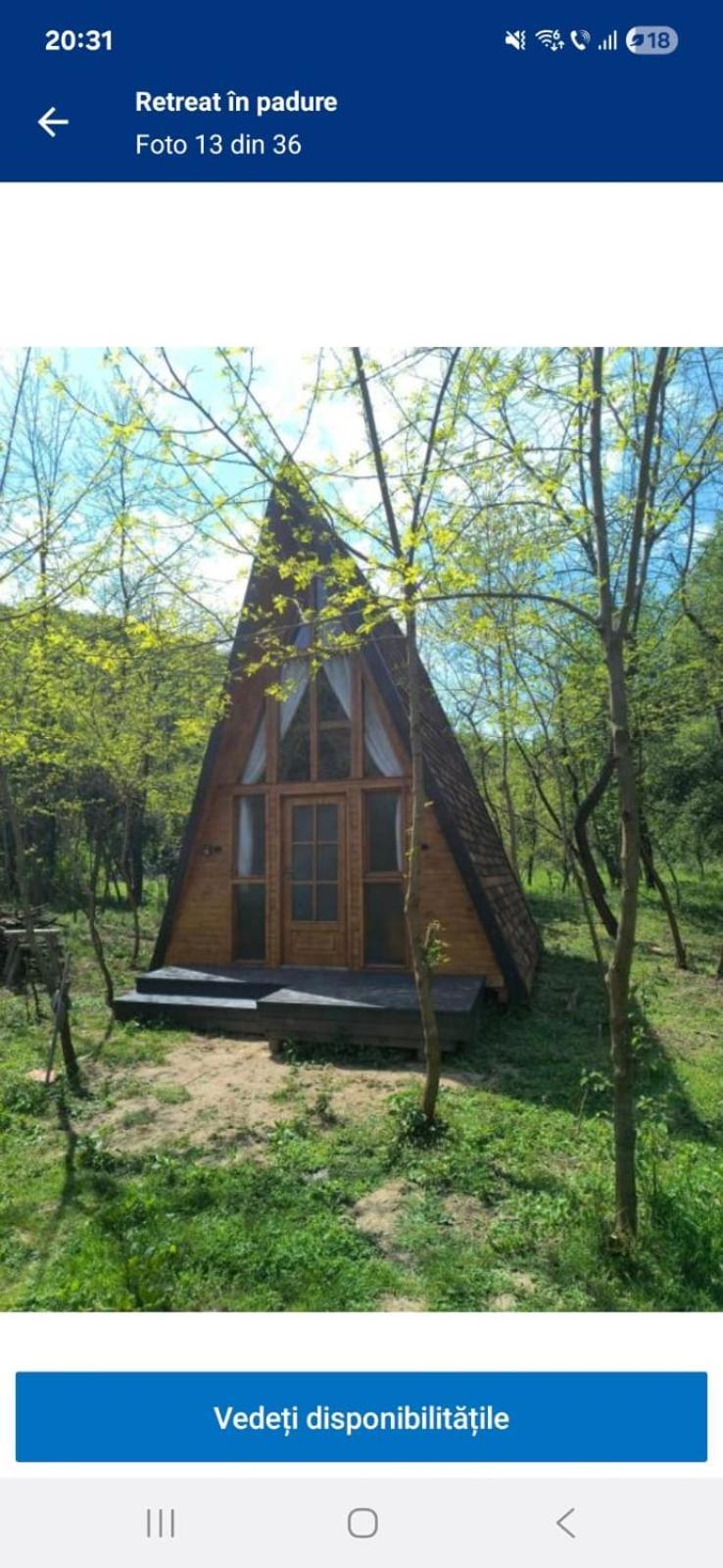 Hotel Retreat In Padure Buchin Exterior foto